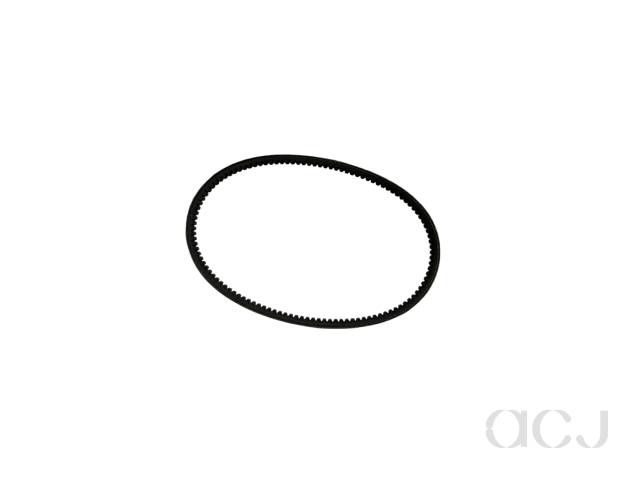 CORRETJA TRAPEZOÏDAL DENTADA