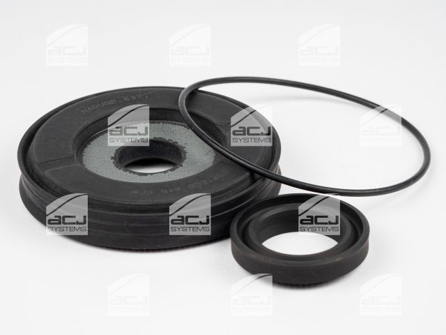 KIT REPAIR SPECIAL CYLINDER PBTS111020